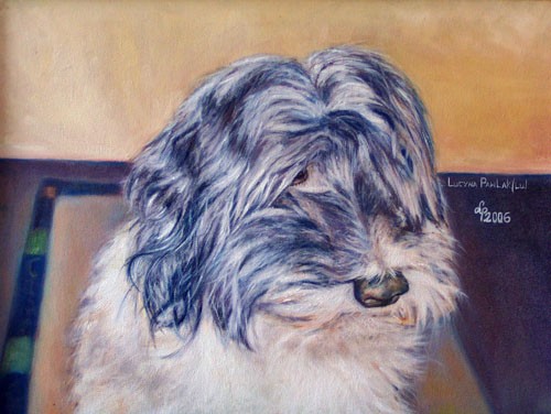 Painting: "Aron", Oil, author: Lucyna Pawlak (Lu), 2006