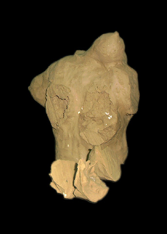 Painting: "Trunk", Sculpture, author: Lucyna Pawlak (Lu), 2004