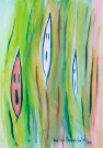 Sęki